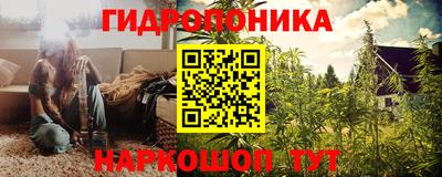 ГАЛЛЮЦИНОГЕННЫЕ ГРИБЫ Обь