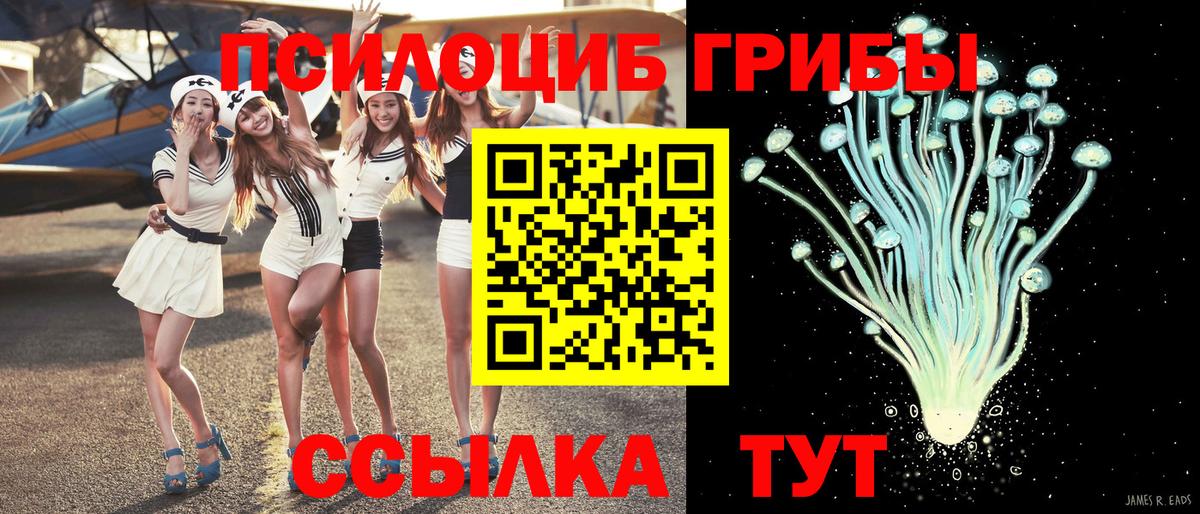 Галлюциногенные грибы Psilocybe  Вход с VPN  Ростов Великий  Псилоцибиновые грибы Magic Shrooms 